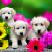 inscription 3a3980017d370aa9e04c69494c7389356d3858ce499d57eb8d78efc19f1d7f5ai0