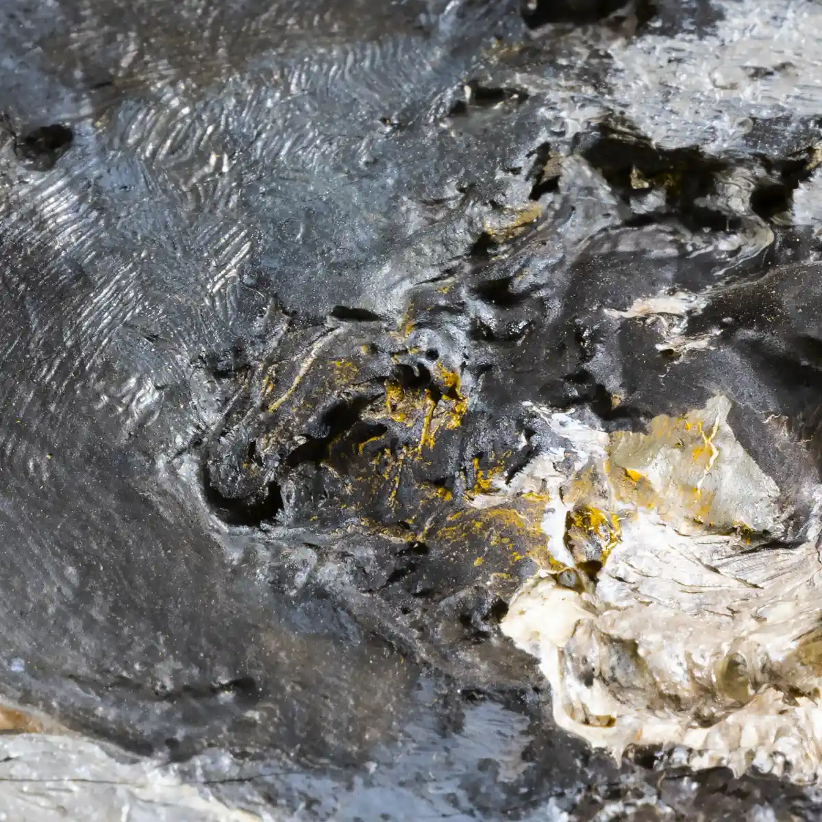 inscription 66e084d2f5167d81b3d621659181ea68c5f3bbd290b93f5d39659eb479f45606i0